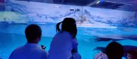 <h4>'IMG_20250531_122241.jpg' 2000 x 860 | HUAWEI P60 | 2025-05-31 12:22:42</h4>