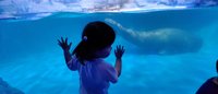 <h4>'IMG_20250531_122430.jpg' 2000 x 860 | HUAWEI P60 | 2025-05-31 12:24:30</h4>