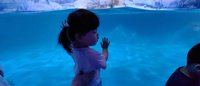 <h4>'IMG_20250531_122436.jpg' 2000 x 860 | HUAWEI P60 | 2025-05-31 12:24:37</h4>