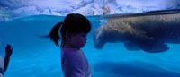 <h4>'IMG_20250531_122444.jpg' 2000 x 860 | HUAWEI P60 | 2025-05-31 12:24:45</h4>