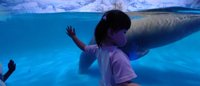 <h4>'IMG_20250531_122445_1.jpg' 2000 x 860 | HUAWEI P60 | 2025-05-31 12:24:46</h4>