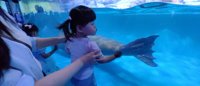 <h4>'IMG_20250531_122448.jpg' 2000 x 860 | HUAWEI P60 | 2025-05-31 12:24:49</h4>