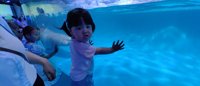 <h4>'IMG_20250531_122451.jpg' 2000 x 860 | HUAWEI P60 | 2025-05-31 12:24:52</h4>