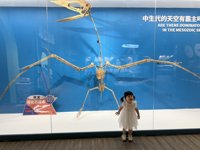 <h4>'IMG_3025.jpg' 1999 x 1500 | iPhone 16 Pro | 2025-07-12 11:07:28</h4>