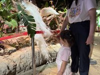 <h4>'IMG_3071.jpg' 1999 x 1500 | iPhone 16 Pro | 2025-07-19 11:04:56</h4>