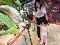 <h4>'IMG_3072.jpg' 1999 x 1500 | iPhone 16 Pro | 2025-07-19 11:05:00</h4>