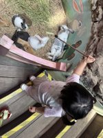 <h4>'IMG_3081.jpg' 1500 x 1999 | iPhone 16 Pro | 2025-07-19 11:23:32</h4>