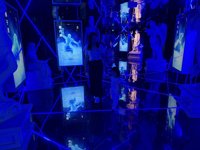 <h4>'IMG_3135.jpg' 1999 x 1500 | iPhone 16 Pro | 2025-07-27 11:35:30</h4>