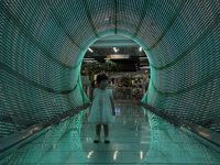 <h4>'IMG_E3021.jpg' 2000 x 1500 | iPhone 16 Pro | 2025-07-12 10:56:46</h4>