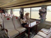 <h4>'IMG_3364.jpg' 1999 x 1500 | iPhone 16 Pro | 2025-08-16 10:26:19</h4>