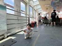 <h4>'IMG_3452.jpg' 1999 x 1500 | iPhone 16 Pro | 2025-08-16 12:03:38</h4>