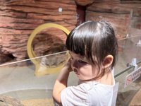 <h4>'IMG_3495.jpg' 1999 x 1500 | iPhone 16 Pro | 2025-08-23 12:27:33</h4>