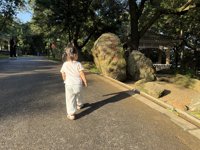 <h4>'IMG_3592.jpg' 1999 x 1500 | iPhone 16 Pro | 2025-08-30 17:15:09</h4>