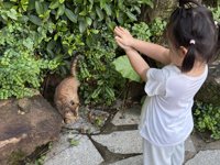 <h4>'IMG_3625.jpg' 2000 x 1500 | iPhone 16 Pro | 2025-08-30 18:00:16</h4>