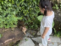 <h4>'IMG_3626.jpg' 2000 x 1500 | iPhone 16 Pro | 2025-08-30 18:00:21</h4>