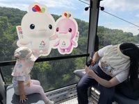 <h4>'IMG_3731.jpg' 1999 x 1500 | iPhone 16 Pro | 2025-08-31 10:51:02</h4>