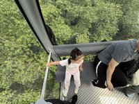 <h4>'IMG_3745.jpg' 2000 x 1500 | iPhone 16 Pro | 2025-08-31 11:08:24</h4>