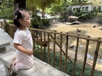 <h4>'IMG_3788.jpg' 1999 x 1500 | iPhone 16 Pro | 2025-08-31 12:11:15</h4>