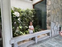 <h4>'IMG_3807.jpg' 1999 x 1500 | iPhone 16 Pro | 2025-08-31 12:36:06</h4>