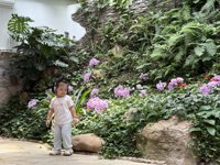 <h4>'IMG_3826.jpg' 1999 x 1500 | iPhone 16 Pro | 2025-08-31 12:42:11</h4>