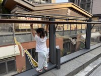 <h4>'IMG_E3265.jpg' 1999 x 1500 | iPhone 16 Pro | 2025-08-09 17:55:58</h4>