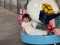 <h4>'IMG_E3274.jpg' 2000 x 1500 | iPhone 16 Pro | 2025-08-09 18:03:44</h4>