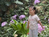 <h4>'IMG_E3823.jpg' 2000 x 1500 | iPhone 16 Pro | 2025-08-31 12:41:48</h4>