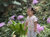 <h4>'IMG_E3824.jpg' 2000 x 1500 | iPhone 16 Pro | 2025-08-31 12:41:50</h4>