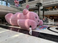 <h4>'IMG_3896.JPG' 1999 x 1500 | iPhone 16 Pro | 2025-09-06 14:30:54</h4>