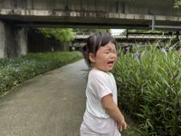 <h4>'IMG_4132.JPG' 1999 x 1500 | iPhone 16 Pro | 2025-09-21 11:19:14</h4>