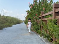 <h4>'IMG_E3901.JPG' 2000 x 1500 | iPhone 16 Pro | 2025-09-06 16:03:22</h4>