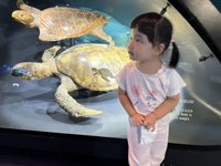 <h4>'IMG_4246.JPG' 1999 x 1500 | iPhone 16 Pro | 2025-10-01 13:02:59</h4>