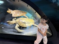 <h4>'IMG_4247.JPG' 1999 x 1500 | iPhone 16 Pro | 2025-10-01 13:03:02</h4>