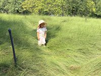 <h4>'IMG_4544.JPG' 2000 x 1500 | iPhone 16 Pro | 2025-10-07 11:12:59</h4>