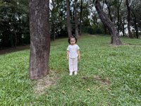 <h4>'IMG_4633.JPG' 1999 x 1500 | iPhone 16 Pro | 2025-10-12 11:39:41</h4>