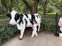 <h4>'IMG_4643.JPG' 1999 x 1500 | iPhone 16 Pro | 2025-10-12 11:52:17</h4>