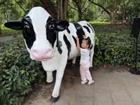 <h4>'IMG_4644.JPG' 1999 x 1500 | iPhone 16 Pro | 2025-10-12 11:52:23</h4>