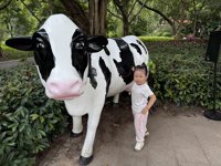 <h4>'IMG_4645.JPG' 1999 x 1500 | iPhone 16 Pro | 2025-10-12 11:52:24</h4>