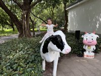 <h4>'IMG_4648.JPG' 1999 x 1500 | iPhone 16 Pro | 2025-10-12 11:52:56</h4>