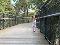 <h4>'IMG_E4556.JPG' 2000 x 1500 | iPhone 16 Pro | 2025-10-07 11:38:05</h4>