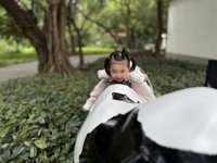 <h4>'IMG_E4650.JPG' 1999 x 1500 | iPhone 16 Pro | 2025-10-12 11:57:50</h4>